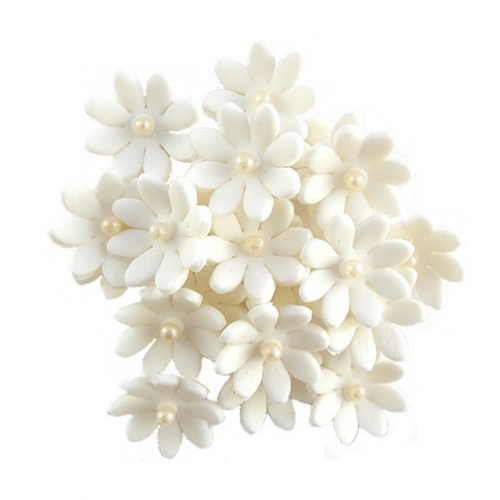 Kwiaty cukrowe stokrotka biała 20 sztuk